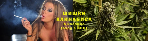 Альфа ПВП Горнозаводск