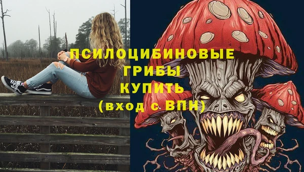 Альфа ПВП Горнозаводск